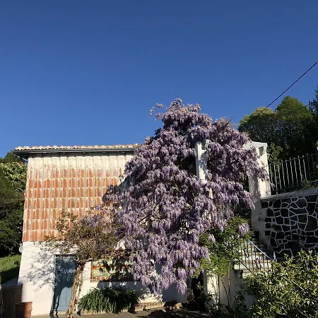 Сasa de vacaciones La Casita Del Castañar