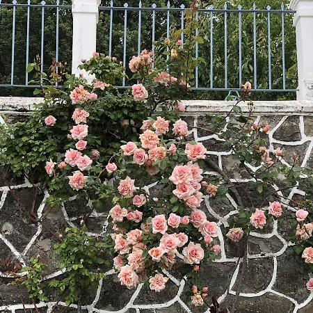 La Casita Del Castanar *