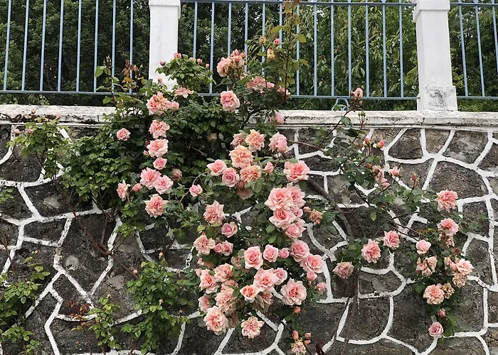 La Casita Del Castanar *